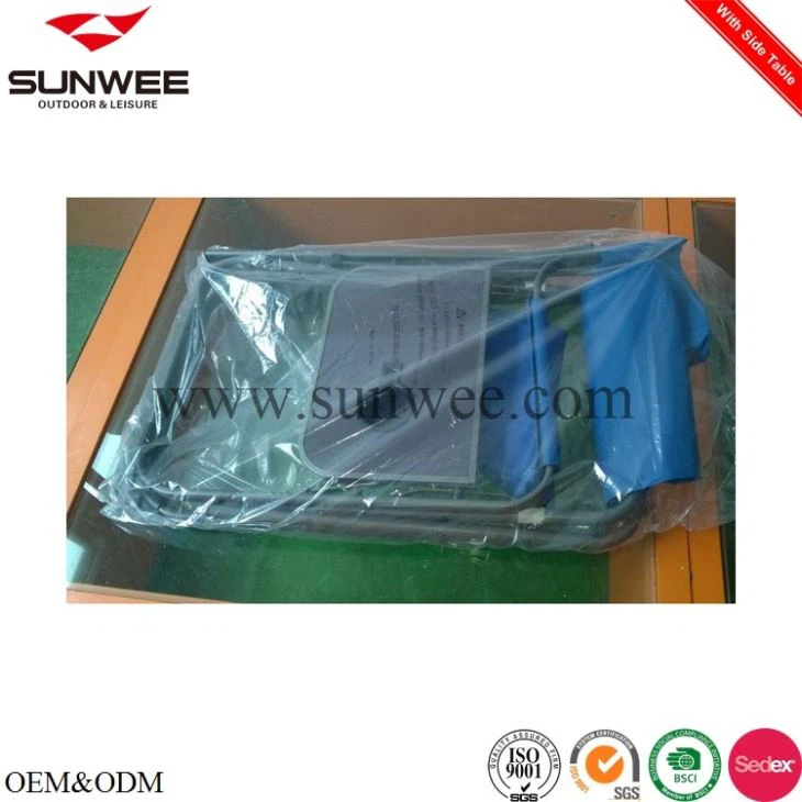 Portable folding director chair